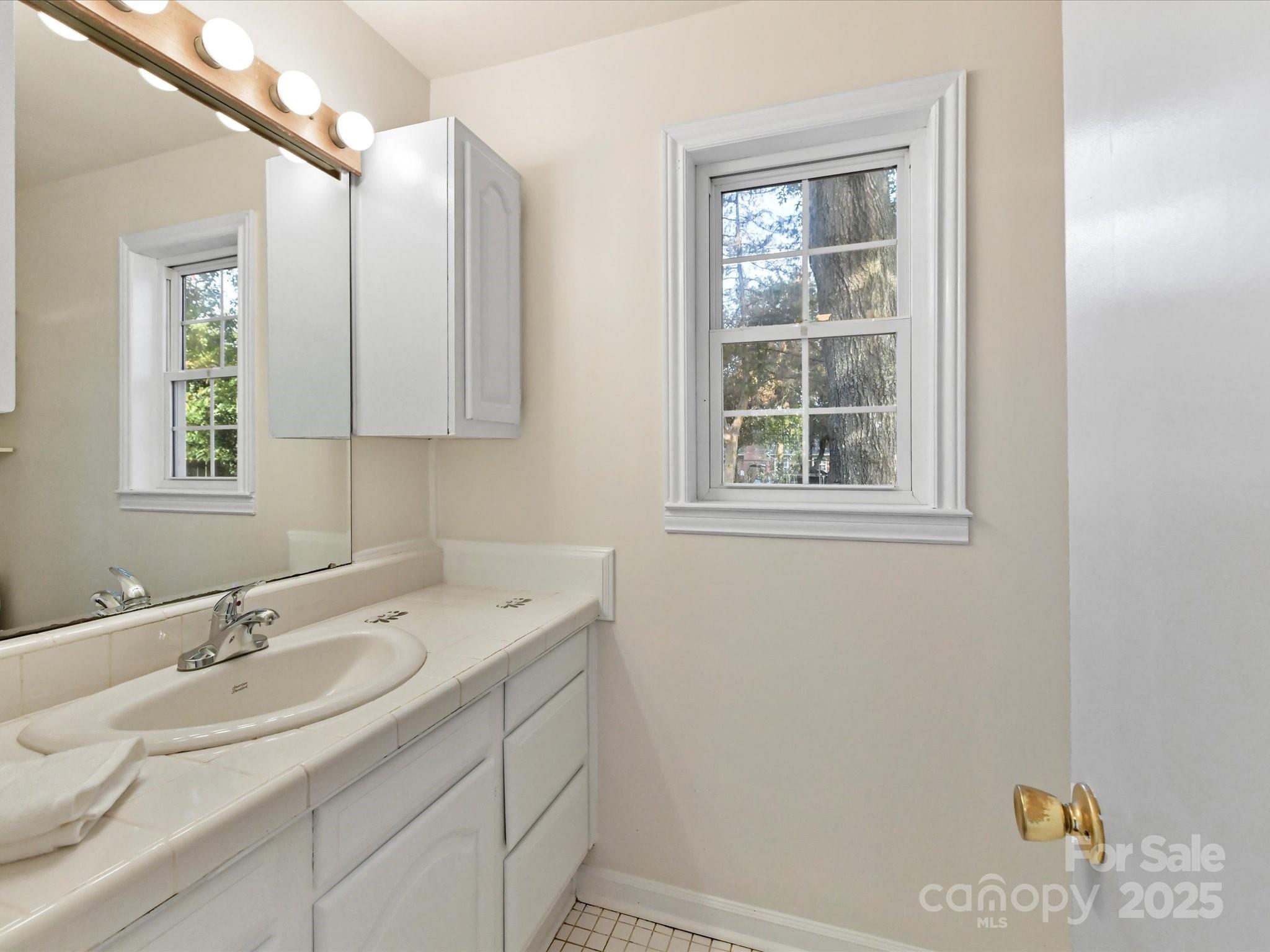 6313 Mill Grove Road Indian Trail, NC 28079 - Photo 28 of 47 a bathroom with a sink and a window