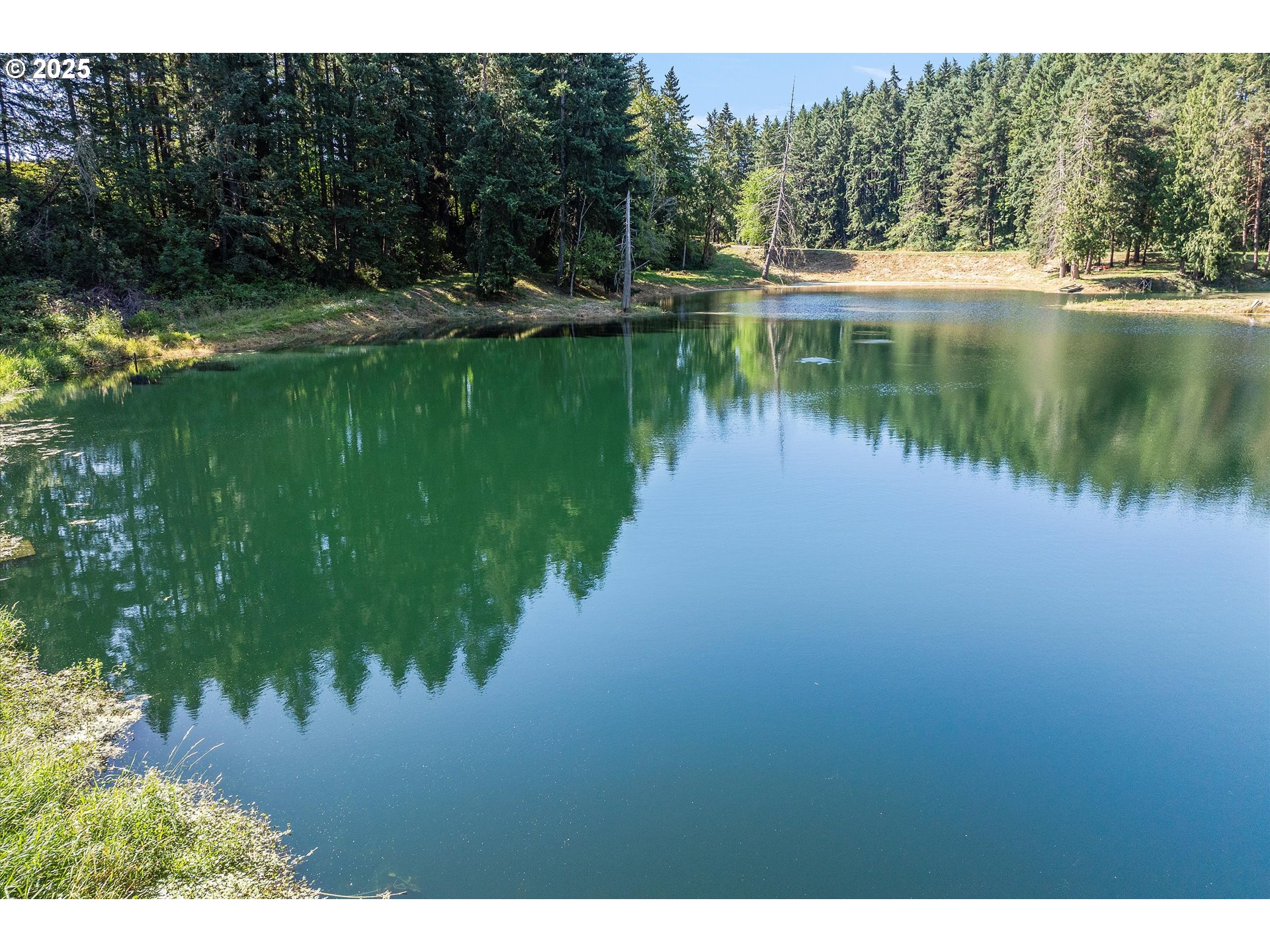 11800 South Carus Road Canby, OR 97013 - Photo 42 of 45 a view of a lake with a yard and trees