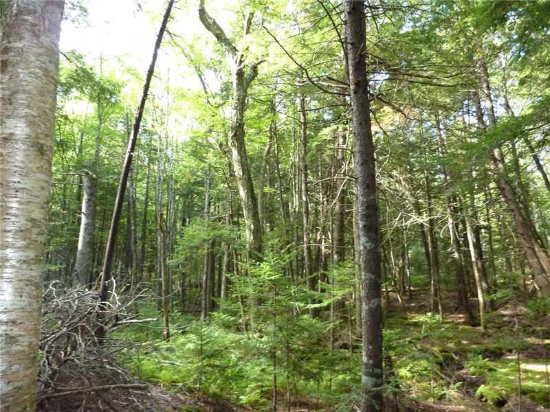 Lot 55 Fogler Road Bremen, ME 04551 - Photo 5 of 8 Land.