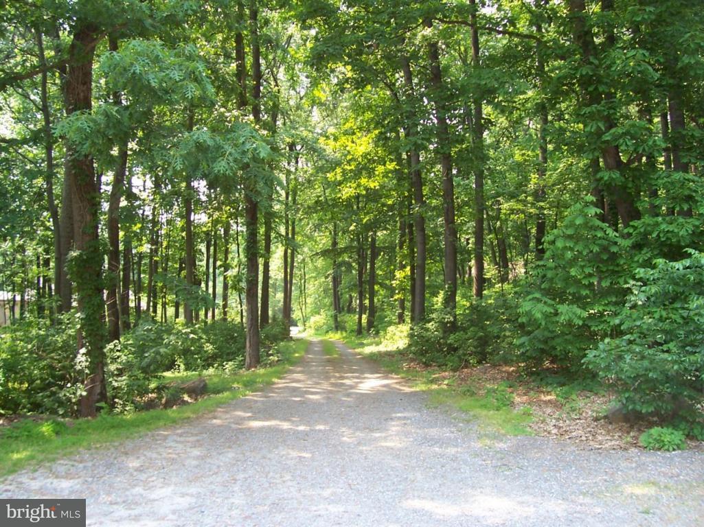 595 Hess Road Elizabethtown, PA 17022 - Photo 15 of 26 Gallery Image 15