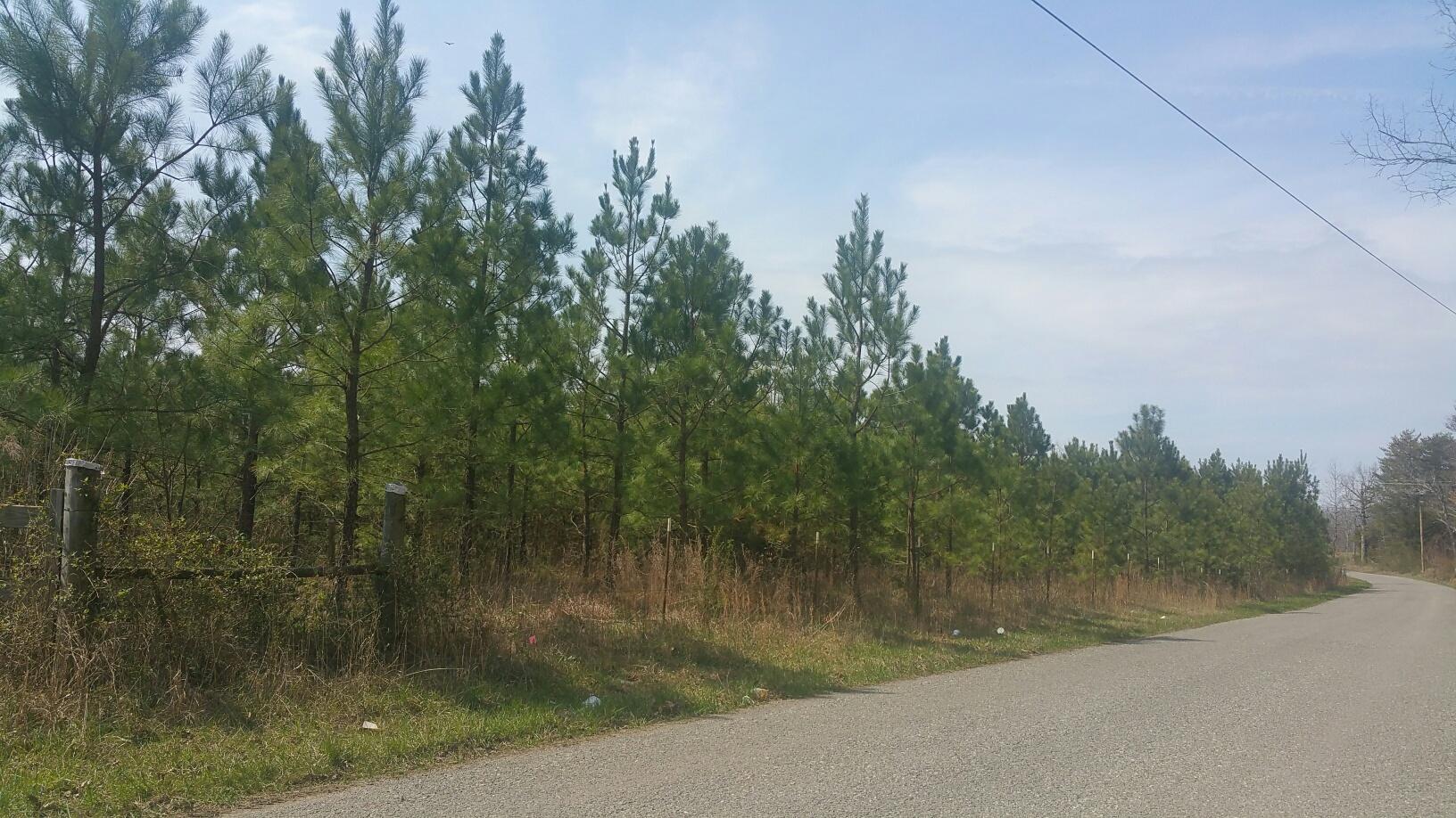 0 Cranfill Road, Unit 43 57 Dayton, TN 37321 - Photo 1 of 13 20170320_114308_resized