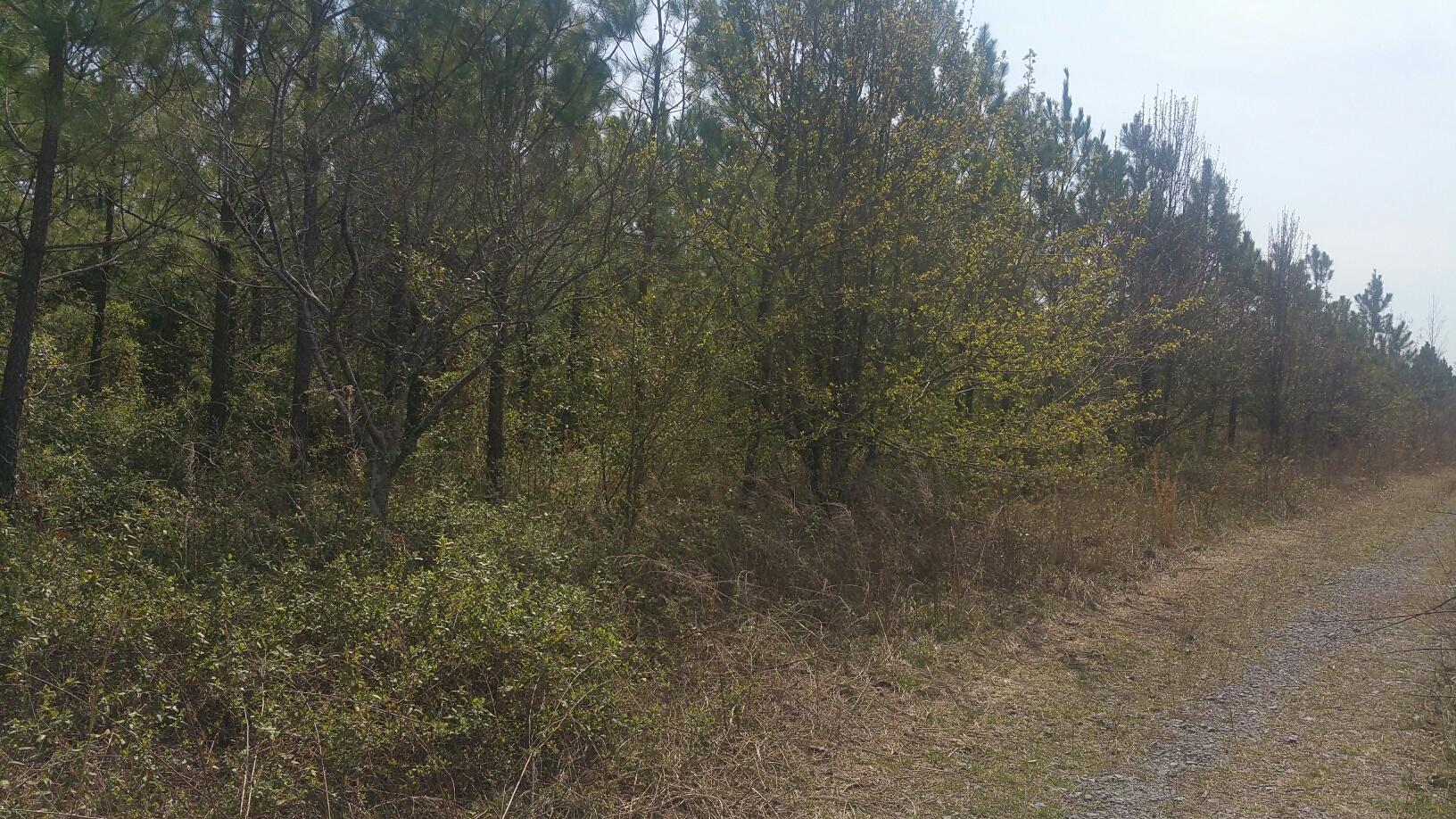 0 Cranfill Road, Unit 43 57 Dayton, TN 37321 - Photo 3 of 13 20170320_114357_resized