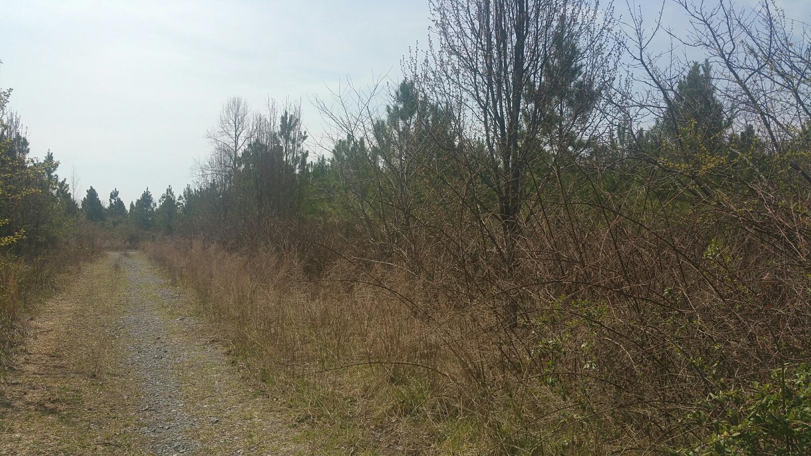 0 Cranfill Road, Unit 43 57 Dayton, TN 37321 - Photo 4 of 13 20170320_114403_resized