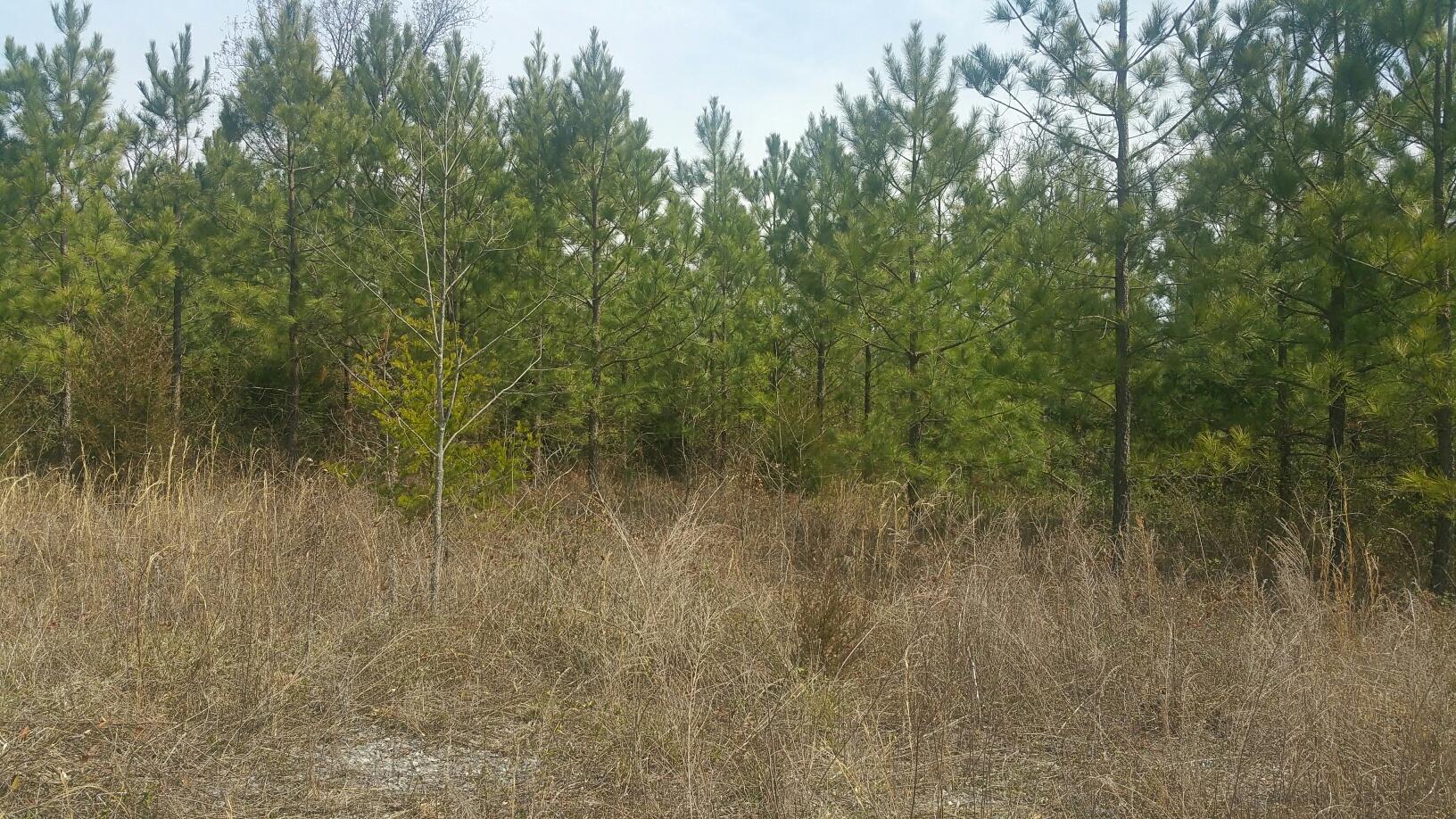 0 Cranfill Road, Unit 43 57 Dayton, TN 37321 - Photo 6 of 13 20170320_114821_resized