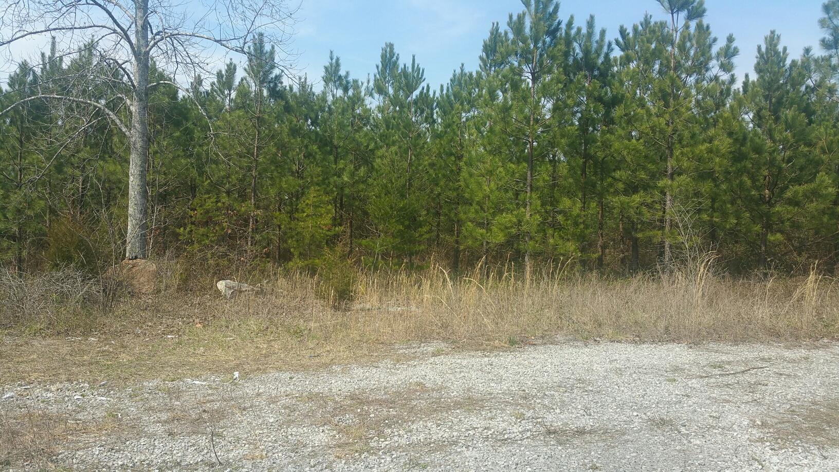 0 Cranfill Road, Unit 43 57 Dayton, TN 37321 - Photo 8 of 13 20170320_114828_resized