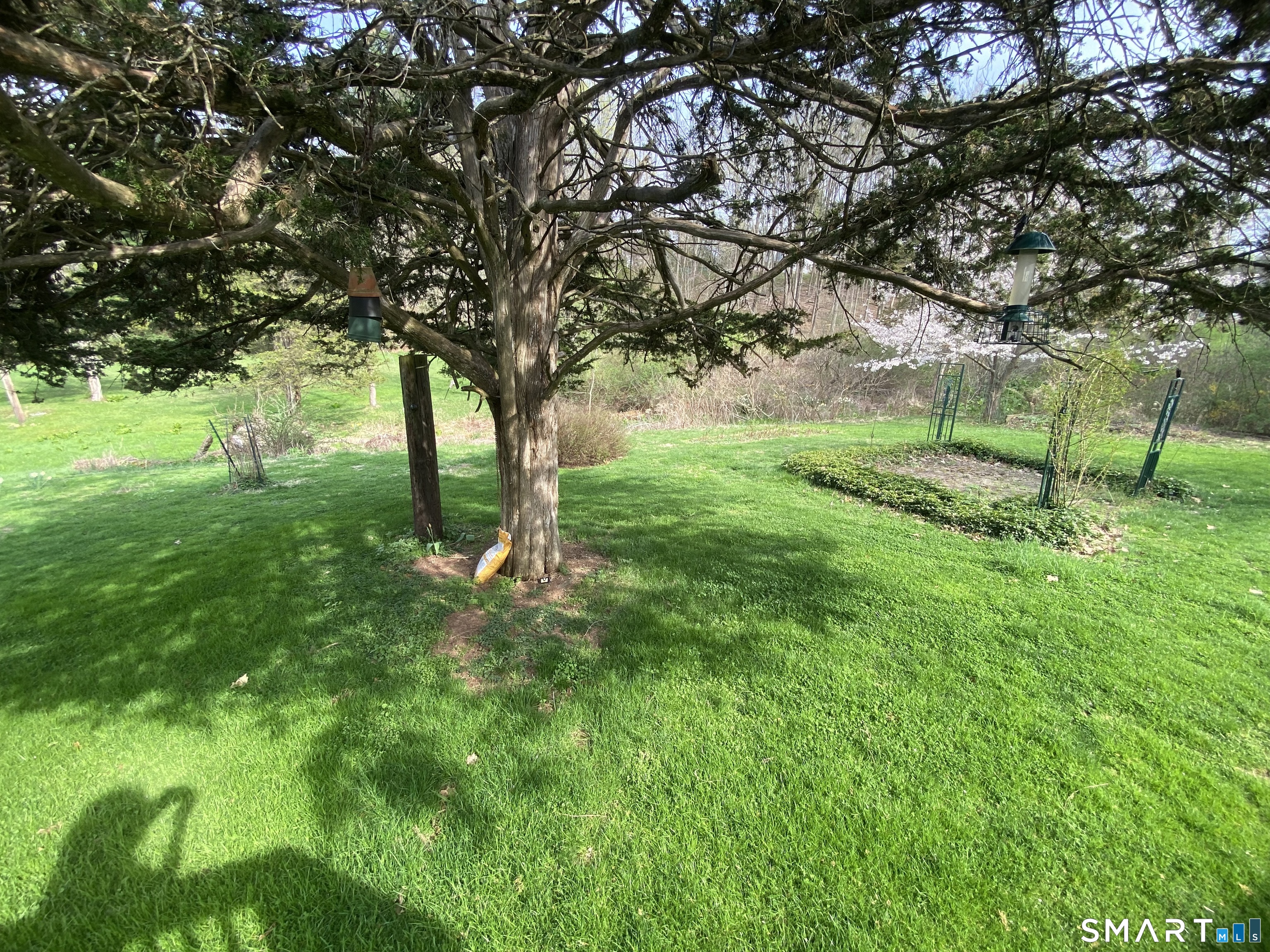 268 Bell Street Middletown, CT 06457 - Photo 22 of 36 a green field with lots of trees