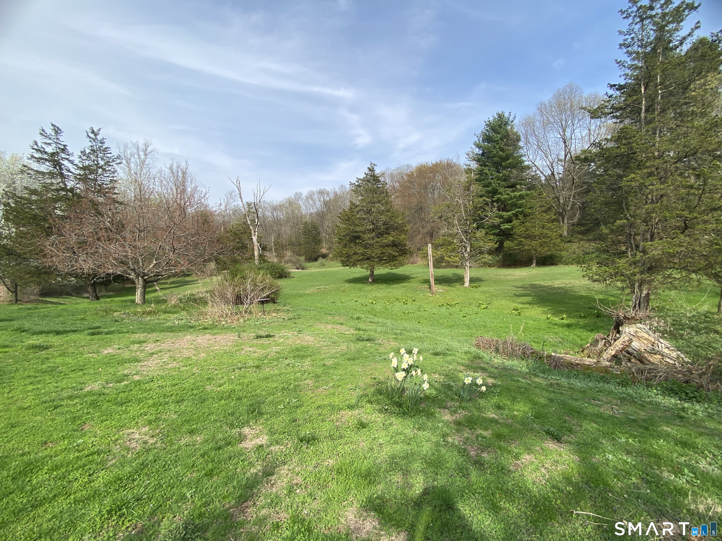 268 Bell Street Middletown, CT 06457 - Photo 26 of 36 a backyard of a house with lots of green space