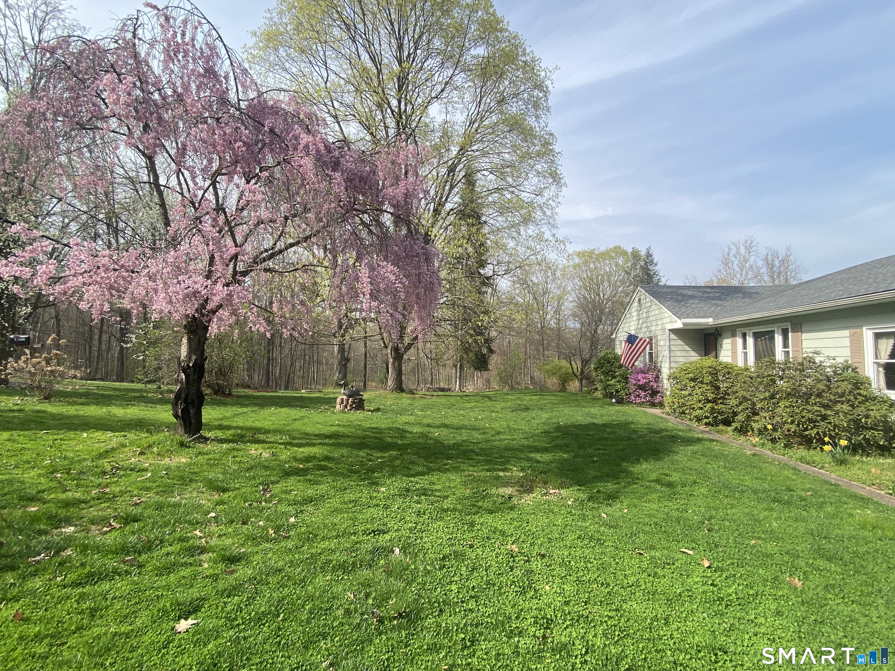 268 Bell Street Middletown, CT 06457 - Photo 36 of 36 a view of a house with a yard and a tree