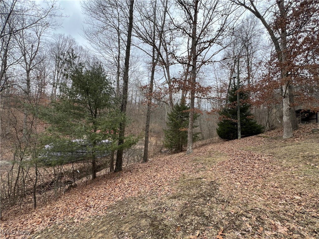 33661 Dog Hollow Road Barnesville, OH 43713 - Photo 36 of 40 Gallery Image 36