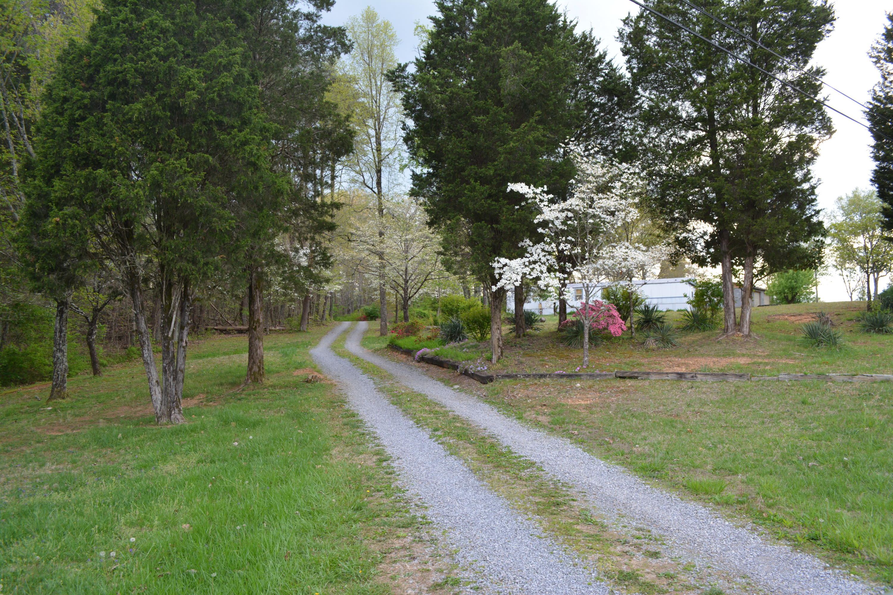 2051 Grey Ridge Road Maryville, TN 37801 - Photo 1 of 32 DSC_0386