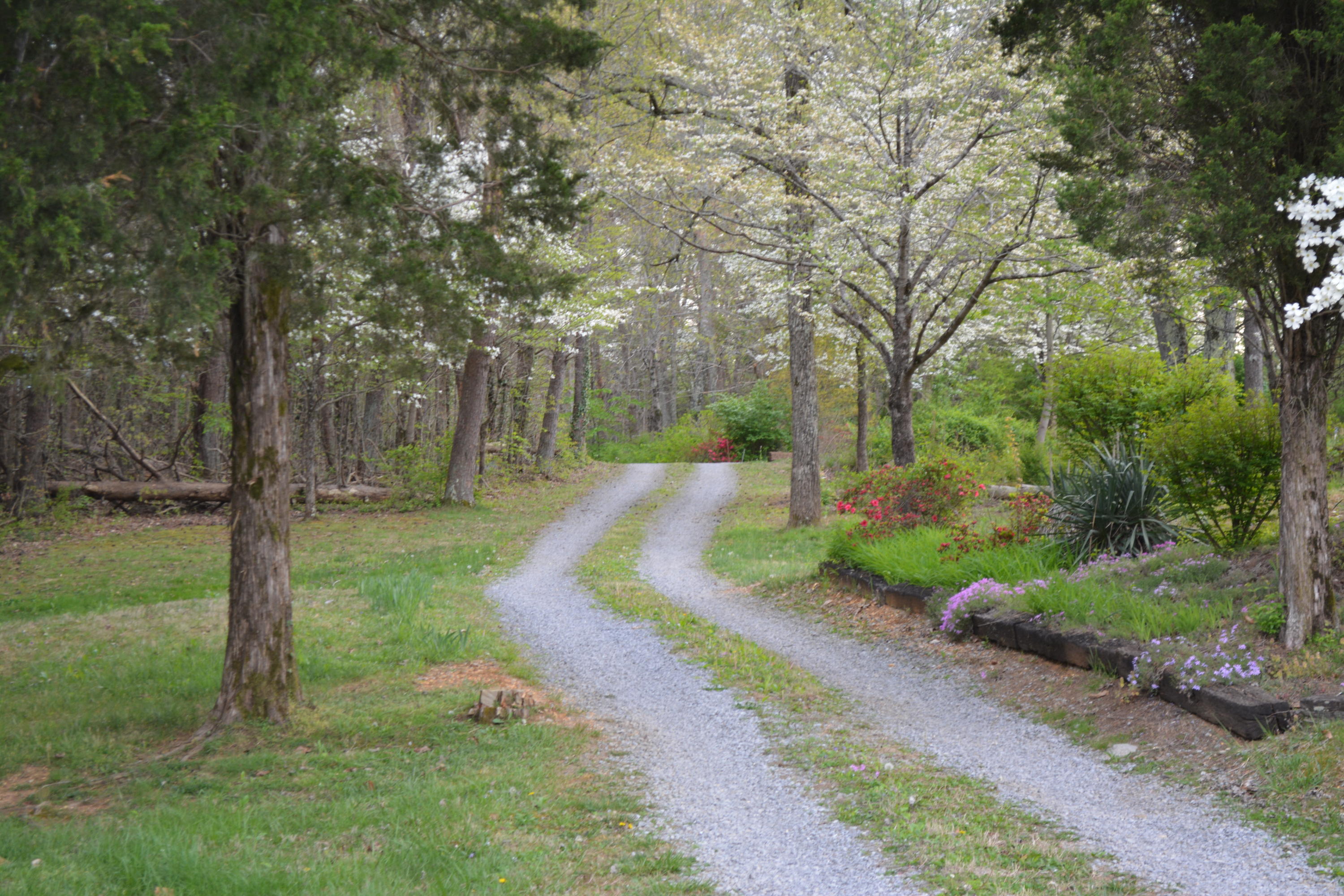 2051 Grey Ridge Road Maryville, TN 37801 - Photo 2 of 32 DSC_0387