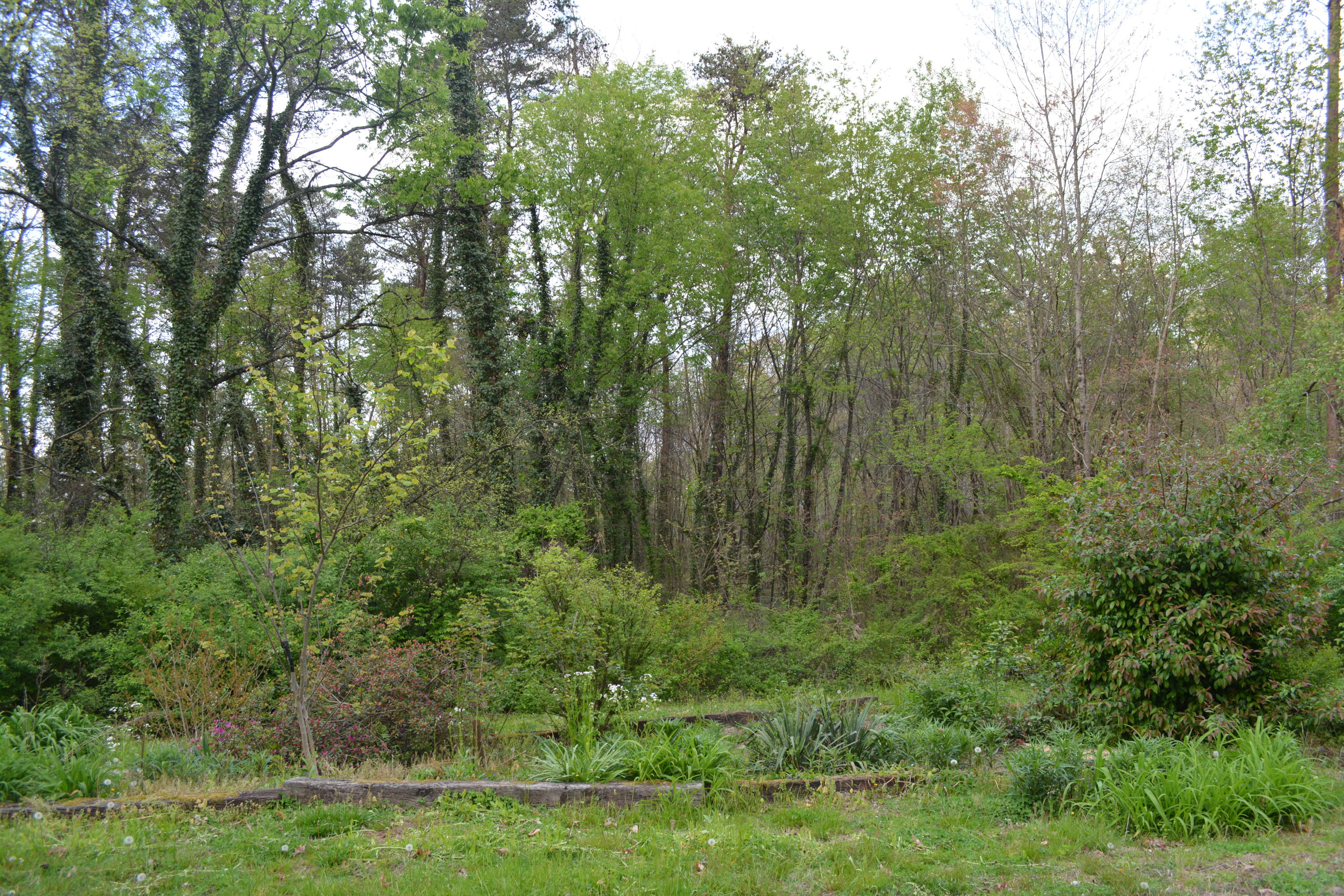 2051 Grey Ridge Road Maryville, TN 37801 - Photo 3 of 32 DSC_0391