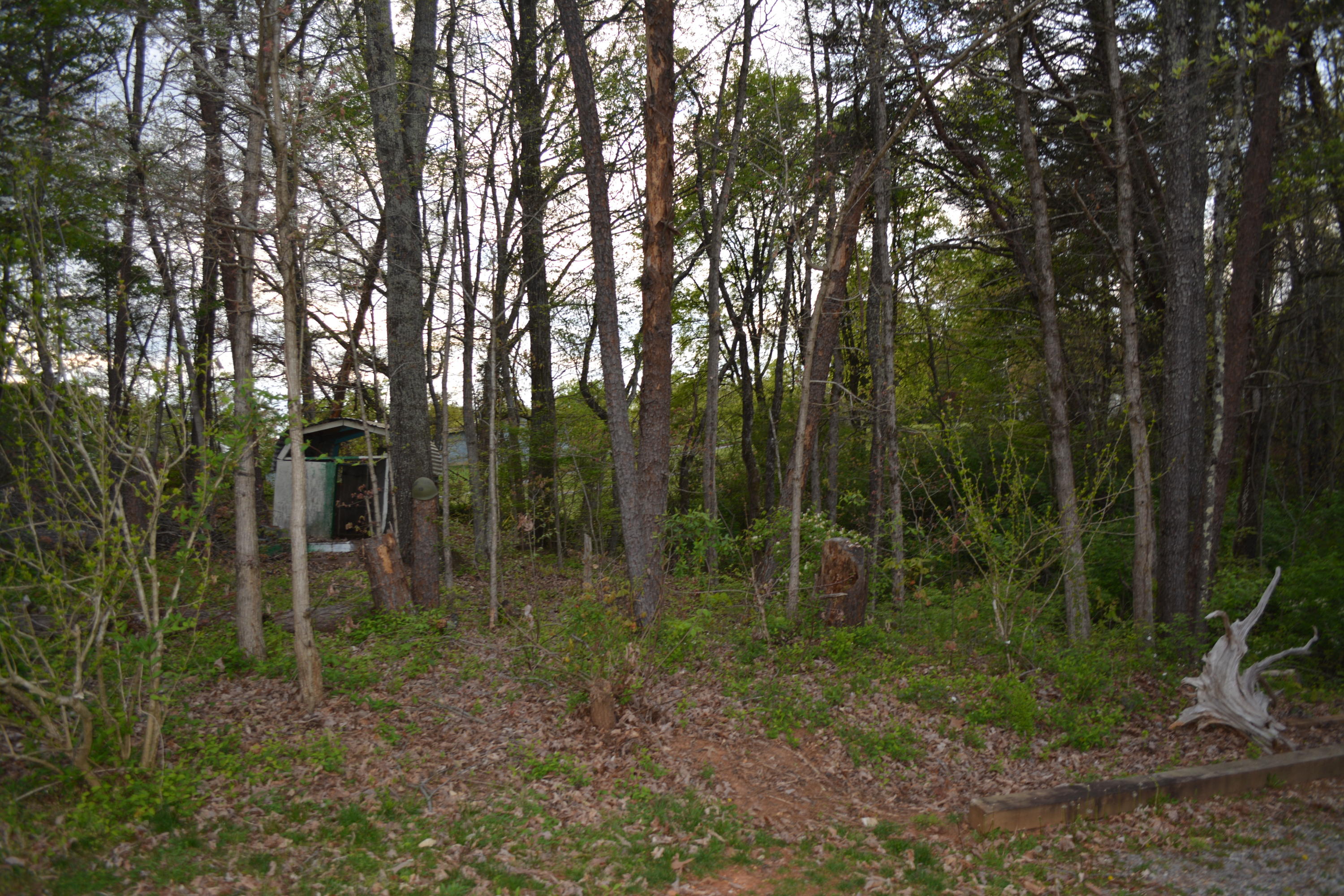 2051 Grey Ridge Road Maryville, TN 37801 - Photo 27 of 32 DSC_0427