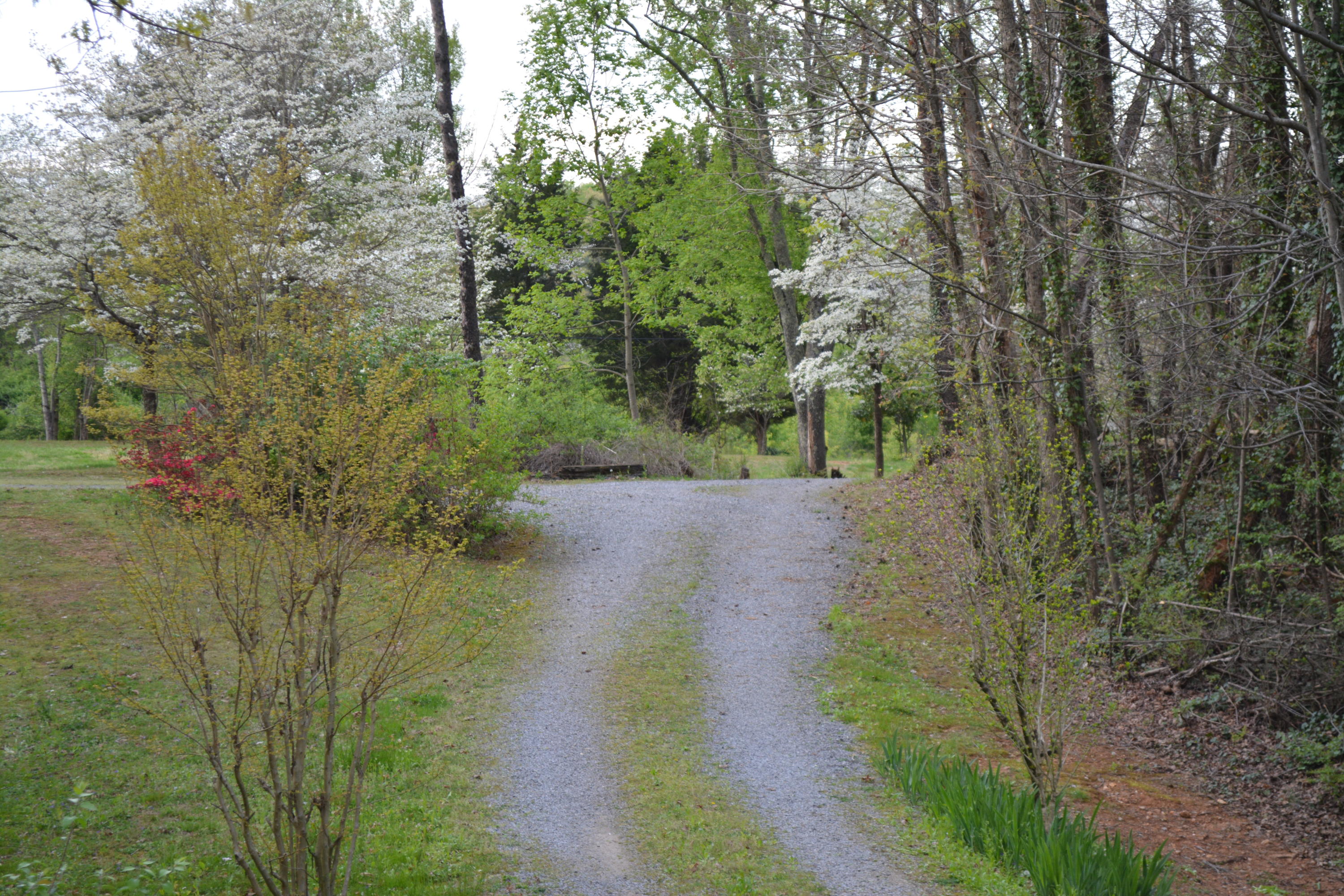 2051 Grey Ridge Road Maryville, TN 37801 - Photo 29 of 32 DSC_0431