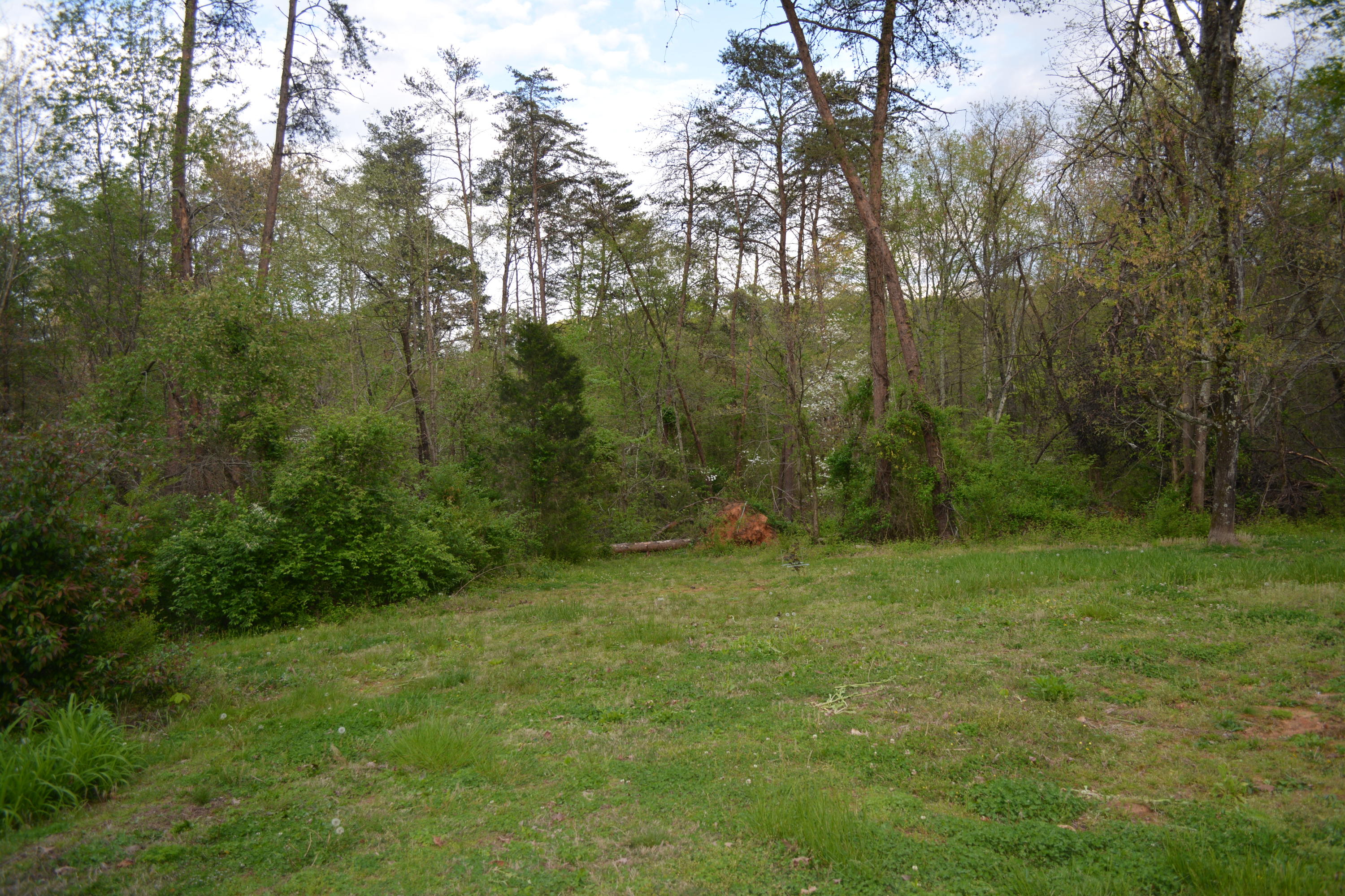 2051 Grey Ridge Road Maryville, TN 37801 - Photo 4 of 32 DSC_0392