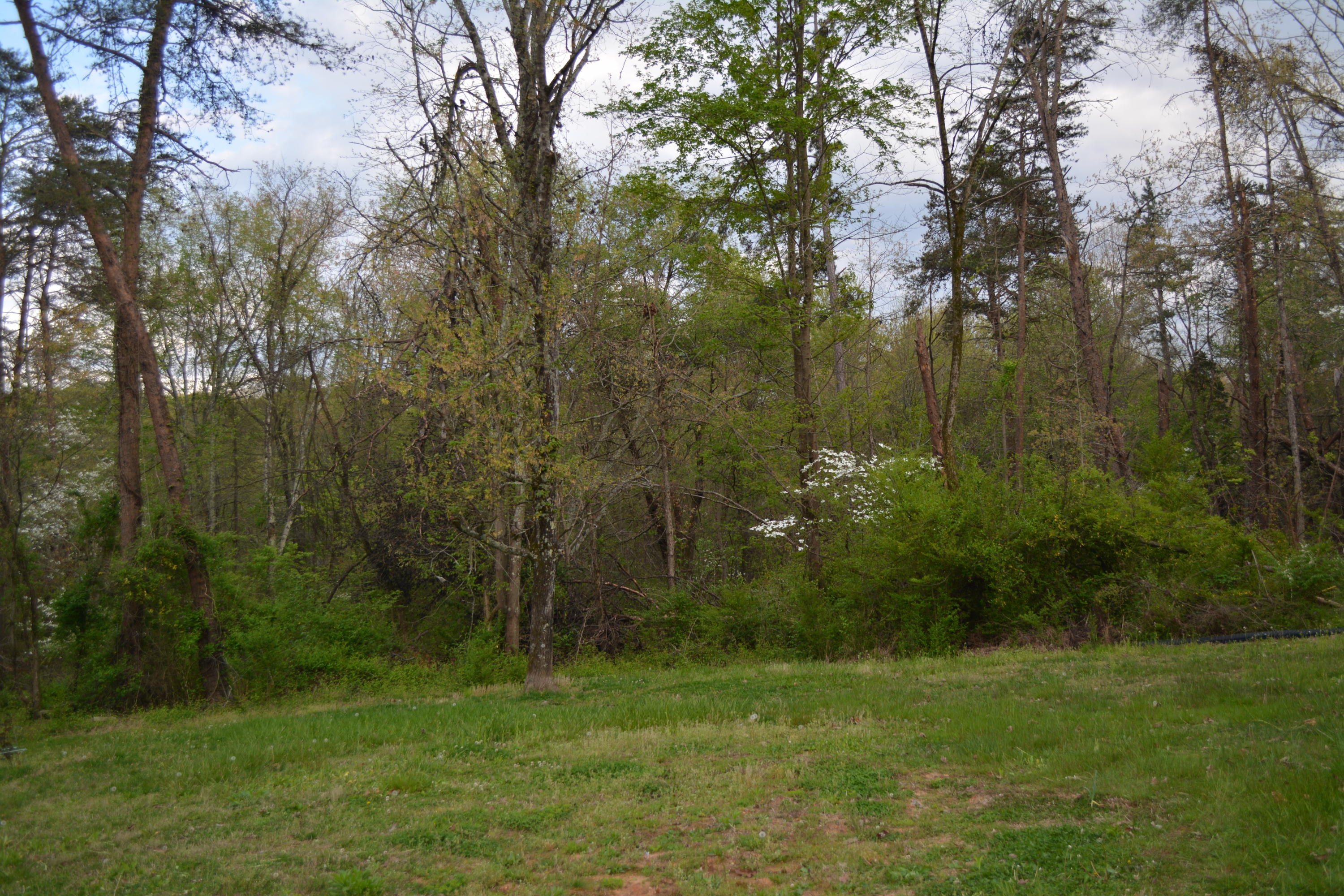 2051 Grey Ridge Road Maryville, TN 37801 - Photo 5 of 32 DSC_0393