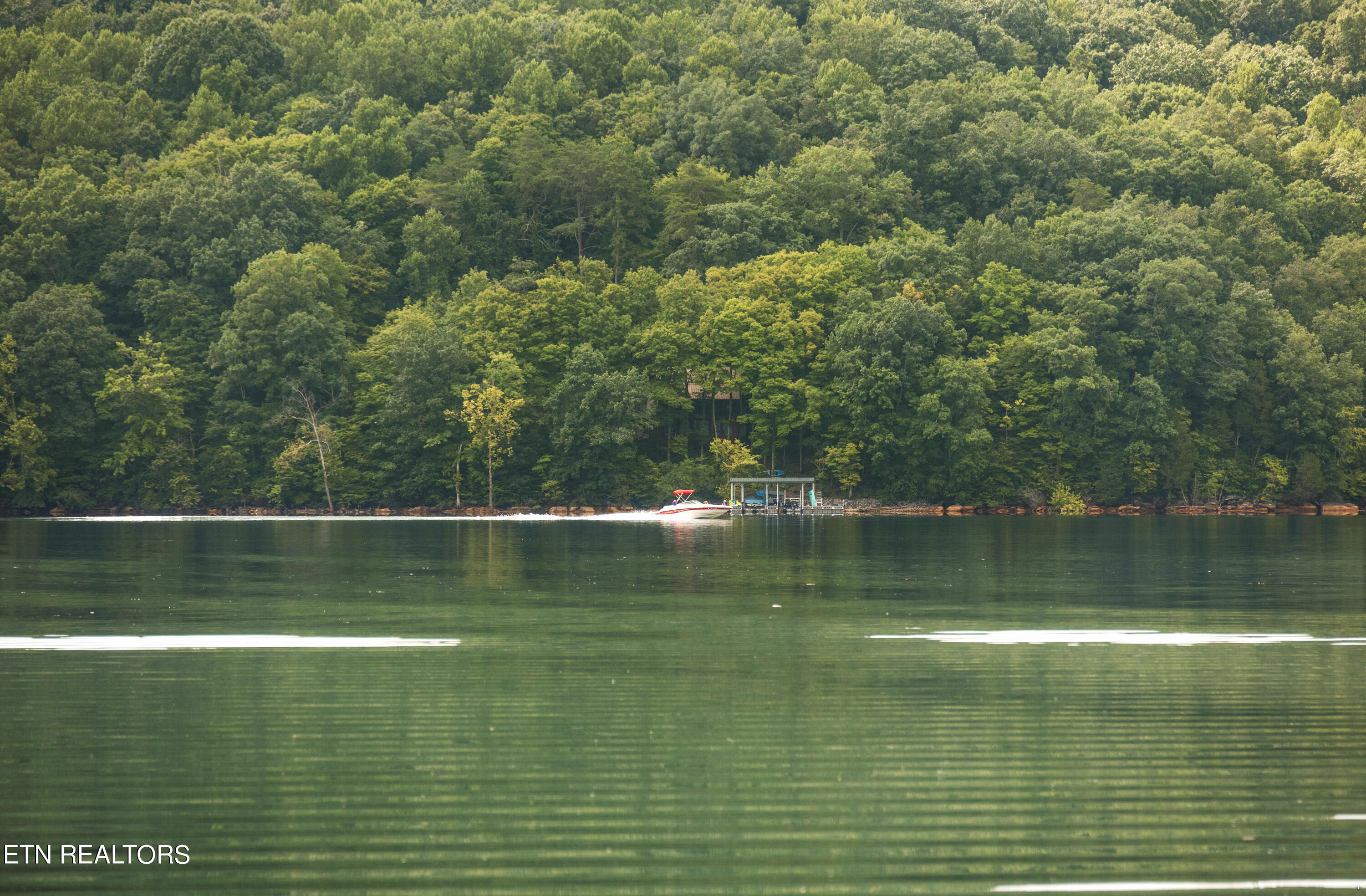 190 Ridgeview Circle Sharps Chapel, TN 37866 - Photo 46 of 58 View from shore
