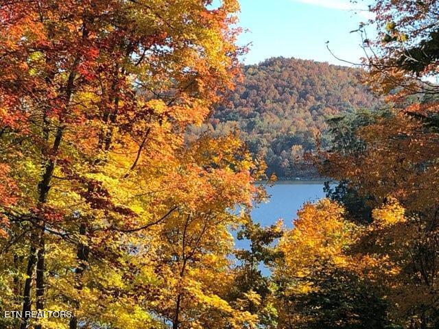 190 Ridgeview Circle Sharps Chapel, TN 37866 - Photo 50 of 58 Fall colors on the lake