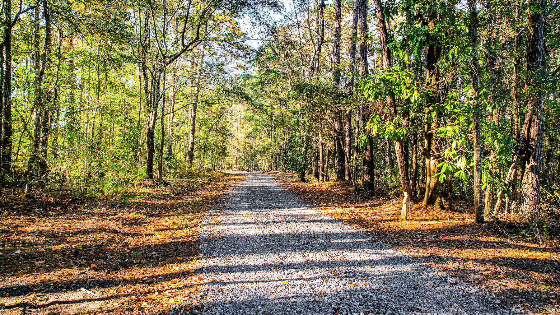 240 Groomsville Road Moncks Corner, SC 29461 - Photo 5 of 101 DV-116