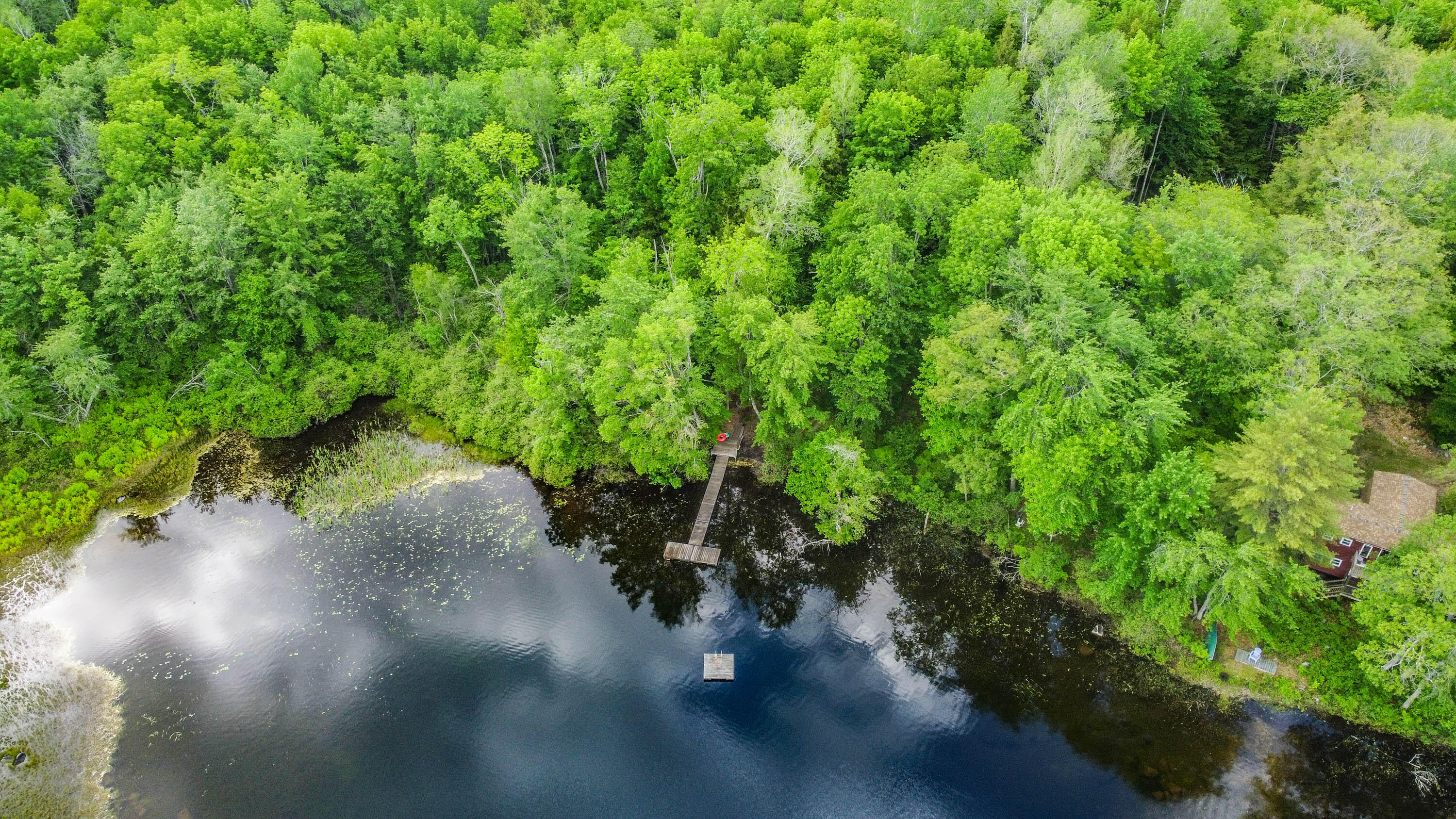 142 5 Kezar Ponds Road Waterford, ME 04088 - Photo 56 of 73 20220610gp-67029