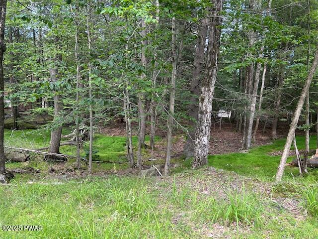 32 Tomahawk Road Lake Ariel, PA 18436 - Photo 5 of 12