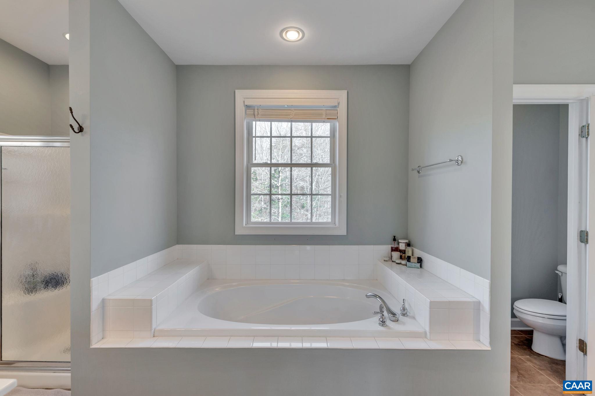 627 Taylor Ridge Way Palmyra, VA 22963 - Photo 14 of 42 Gallery Image 14