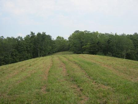 1354 Birdie Road Lawrenceburg, KY 40342 - Photo 45 of 55 Photo 45