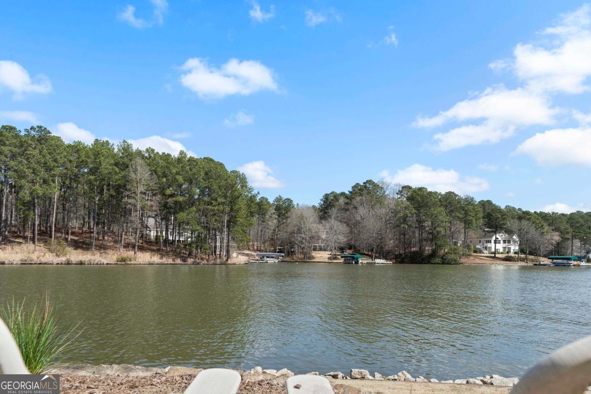 1691 Lighthouse Circle Greensboro, GA 30642 - Photo 71 of 75