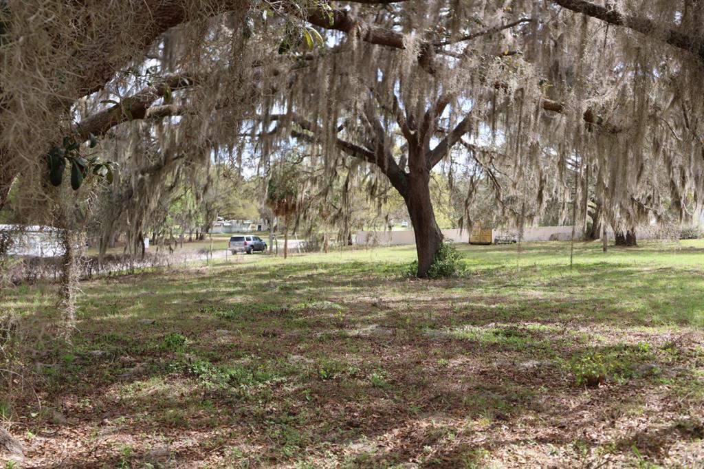 11234 Southeast 121st Lane Road Belleview, FL 34420 - Photo 18 of 23