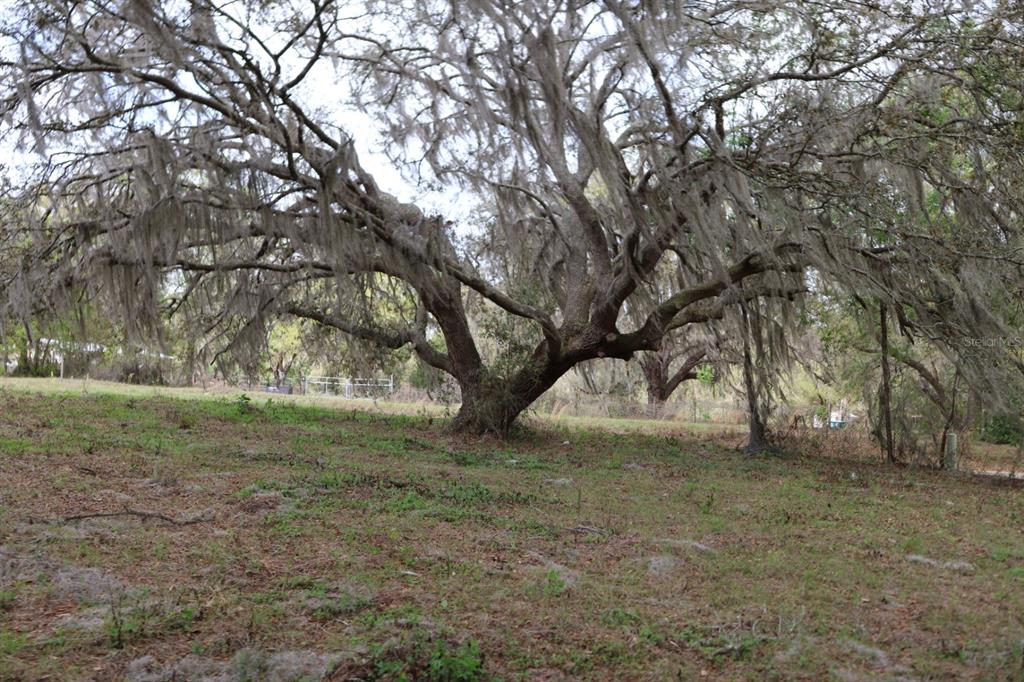 11234 Southeast 121st Lane Road Belleview, FL 34420 - Photo 19 of 23