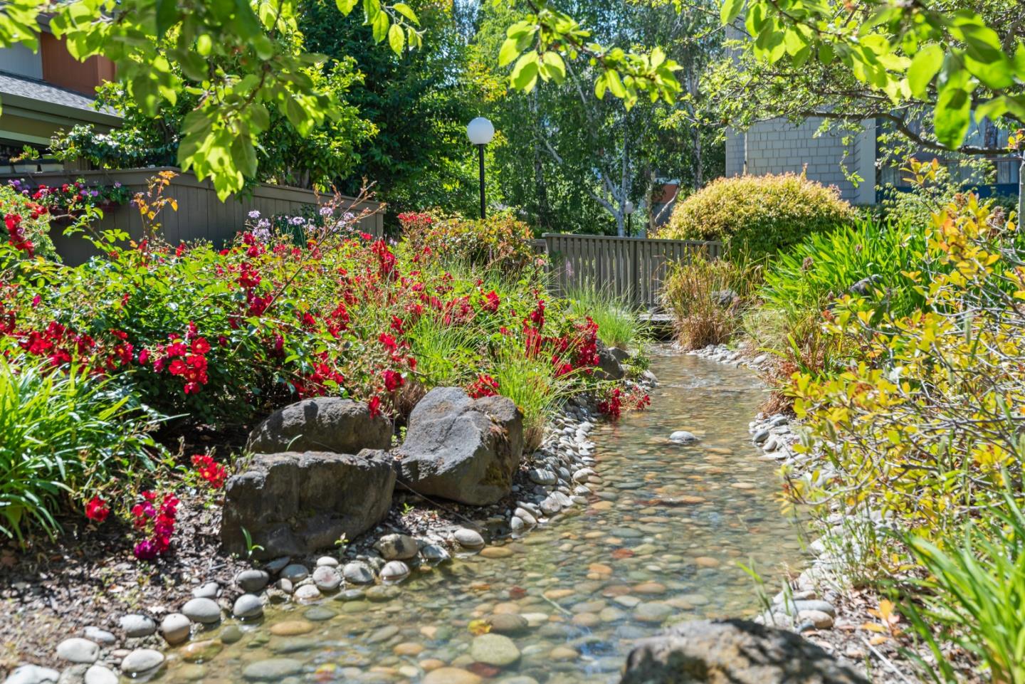 49 Showers Drive, Unit E250 Mountain View, CA 94040 - Photo 26 of 27 a view of a flower in a yard