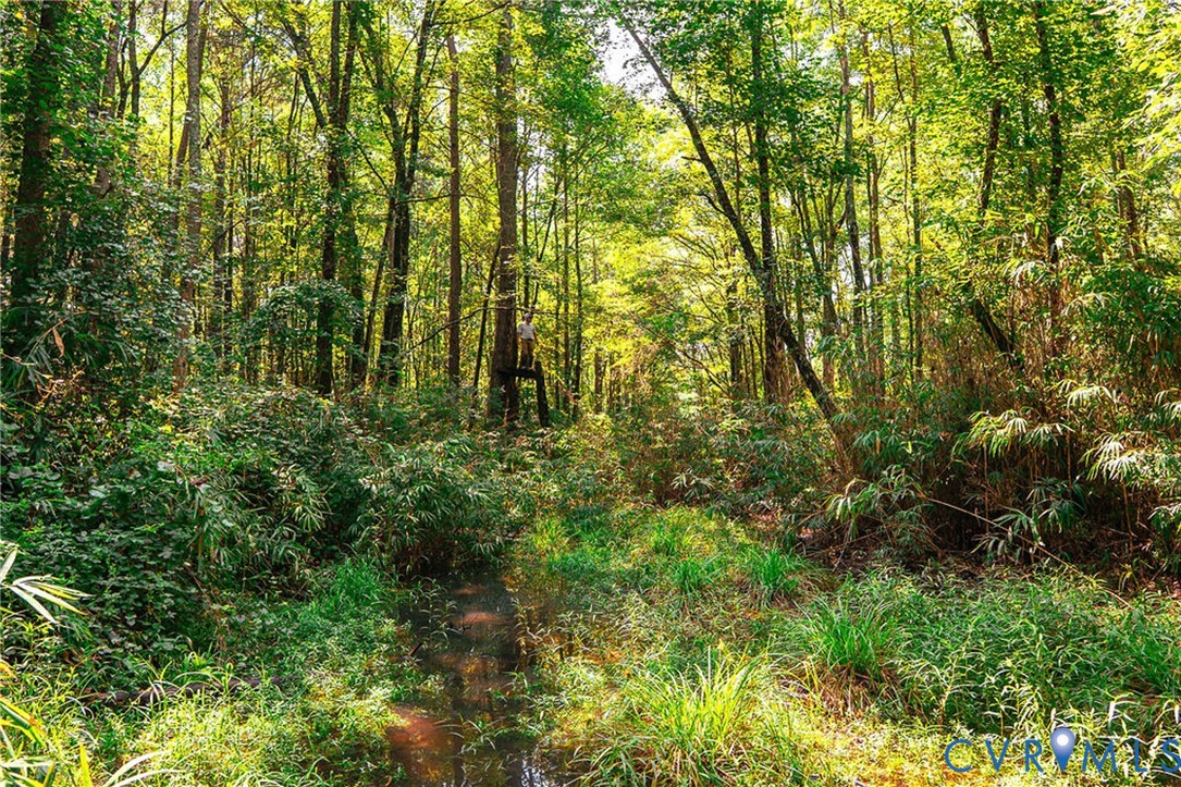 663.8-acres Peach Road Chesapeake, VA 23321 - Photo 18 of 48 Gallery Image 18