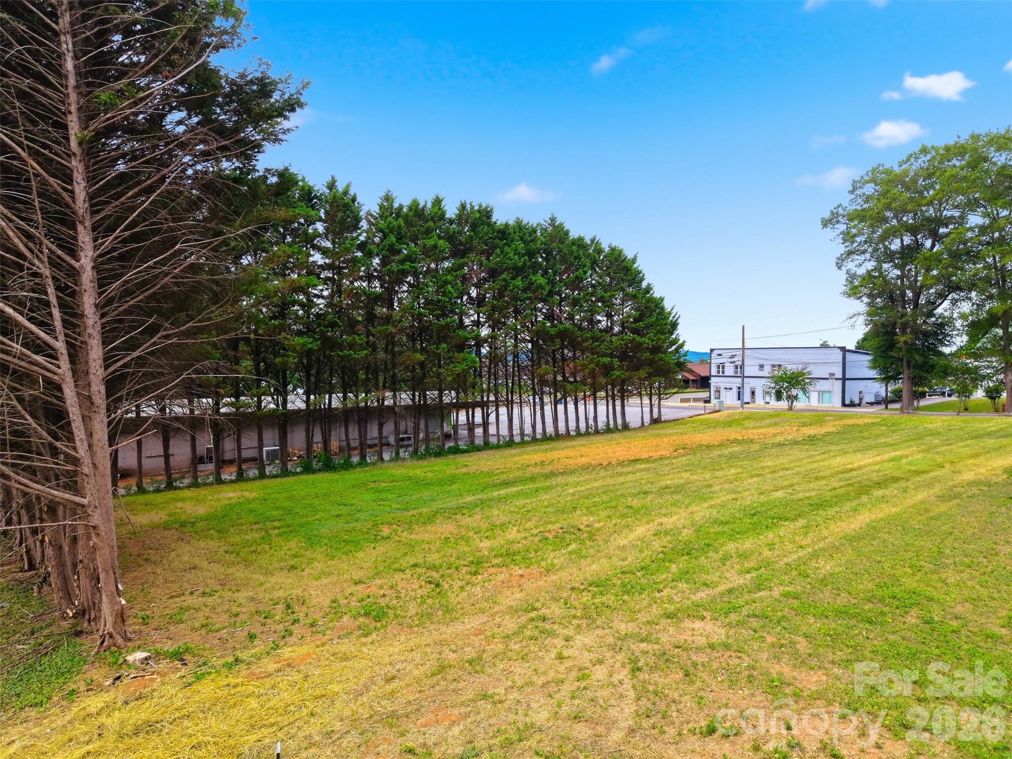 0 Linneys Mountain Road, Unit LOT H Taylorsville, NC 28681 - Photo 8 of 9
