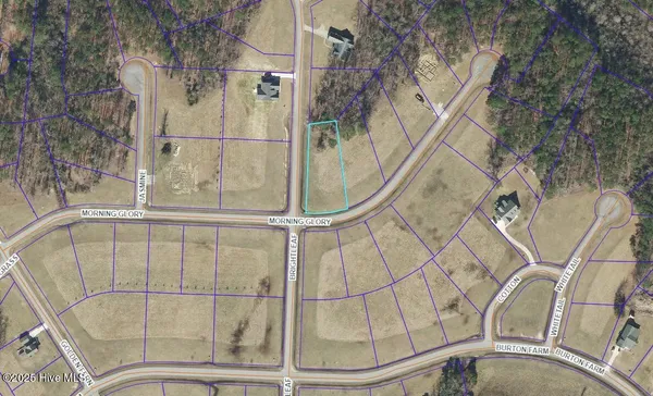 $50,000 | 134 North Brightleaf Drive, Minnesott Beach, NC 28510