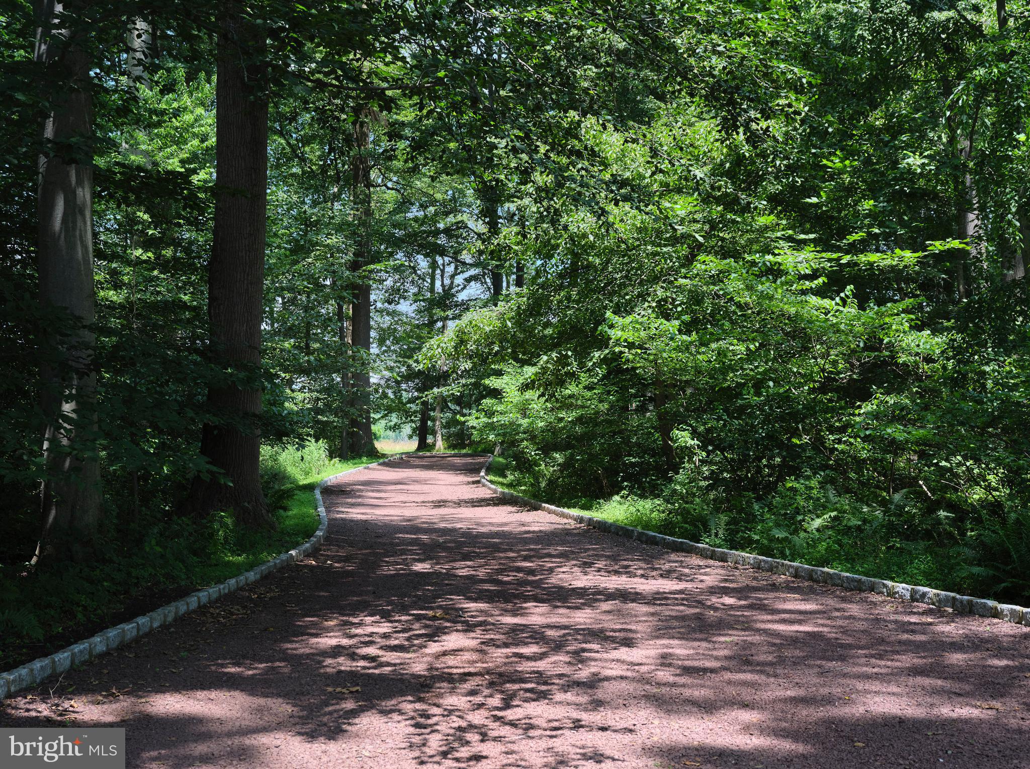 35 Raven Rock Rosemont Road Stockton, NJ 08559 - Photo 51 of 61 a view of a street with trees on both side of it
