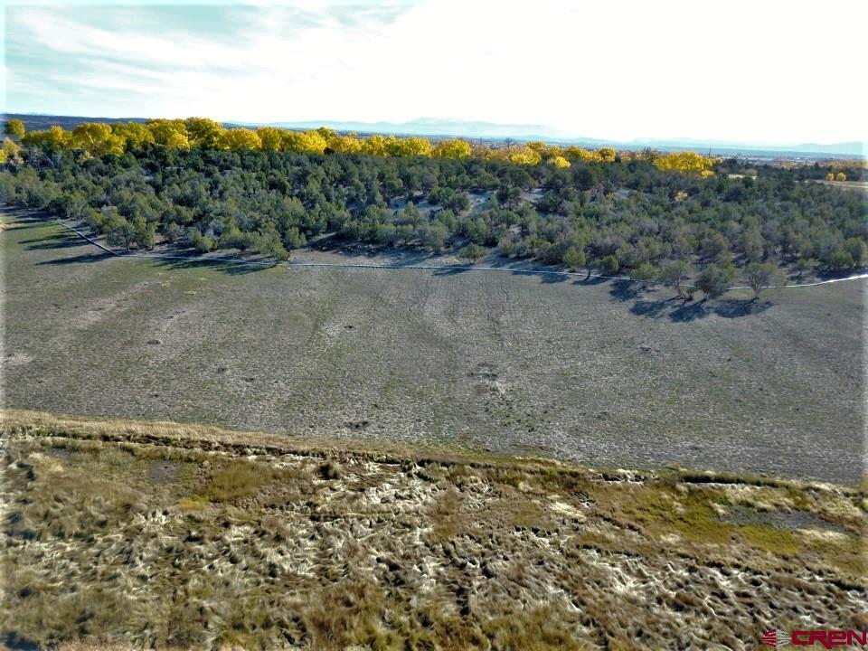 Tbd Rd P Dolores, CO 81323 - Photo 14 of 19 a view of a dry yard with wooden fence