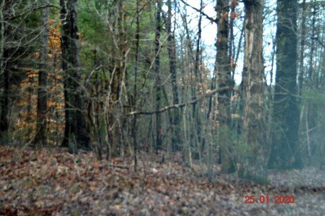 665 Darlington Heights Road Cullen, VA 23934 - Photo 8 of 10 Gallery Image 8