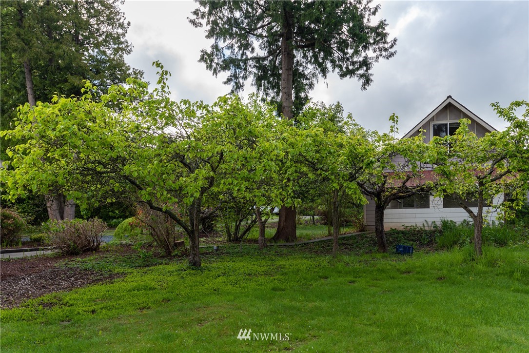 234 Kelly Road Bellingham, WA 98226 - Photo 26 of 40