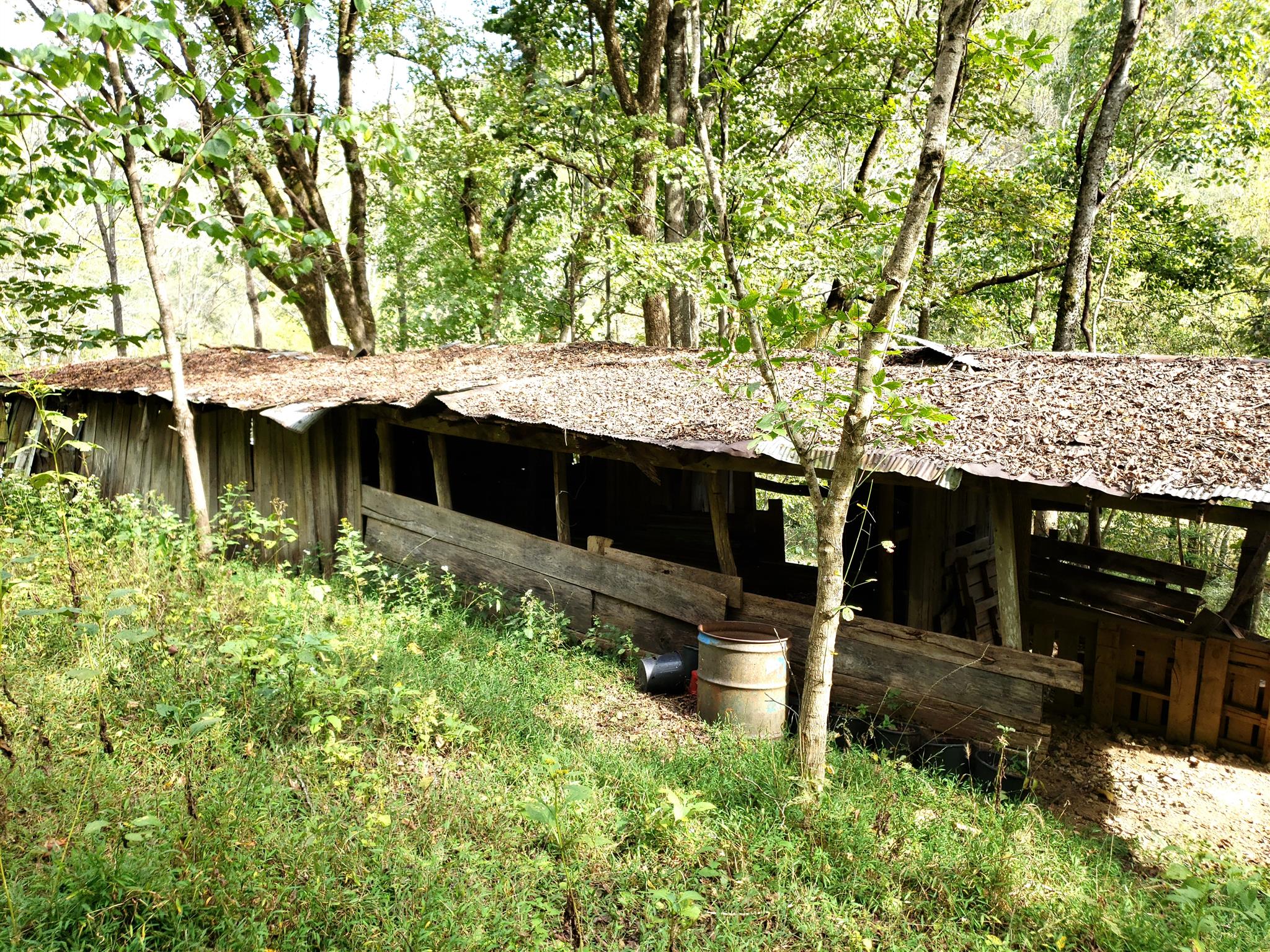 138 Ferguson Hollow Road Buffalo Valley, TN 38548 - Photo 24 of 26 Old barn