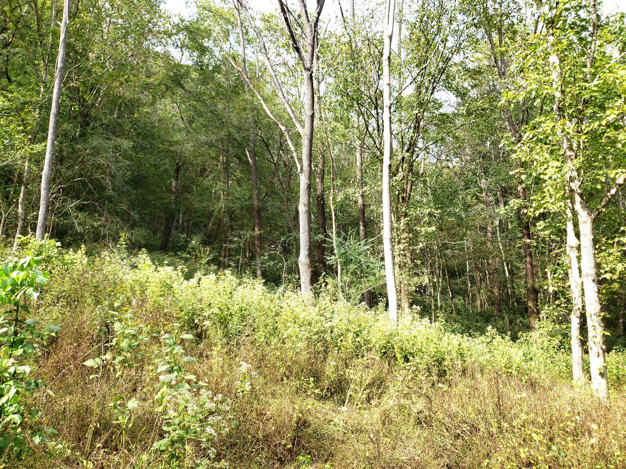 138 Ferguson Hollow Road Buffalo Valley, TN 38548 - Photo 26 of 26 Gallery Image 26