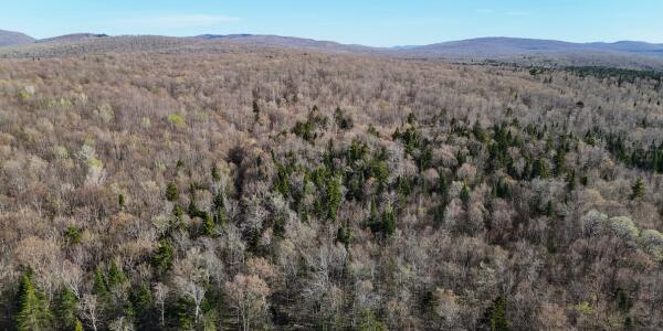 0 East Pinnacle Road West Malone, NY 12953 - Photo 1 of 21 Gallery Image 1