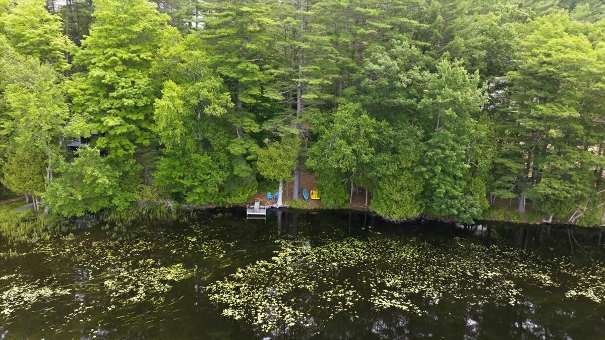 22 Woodland Road Winthrop, ME 04364 - Photo 56 of 65