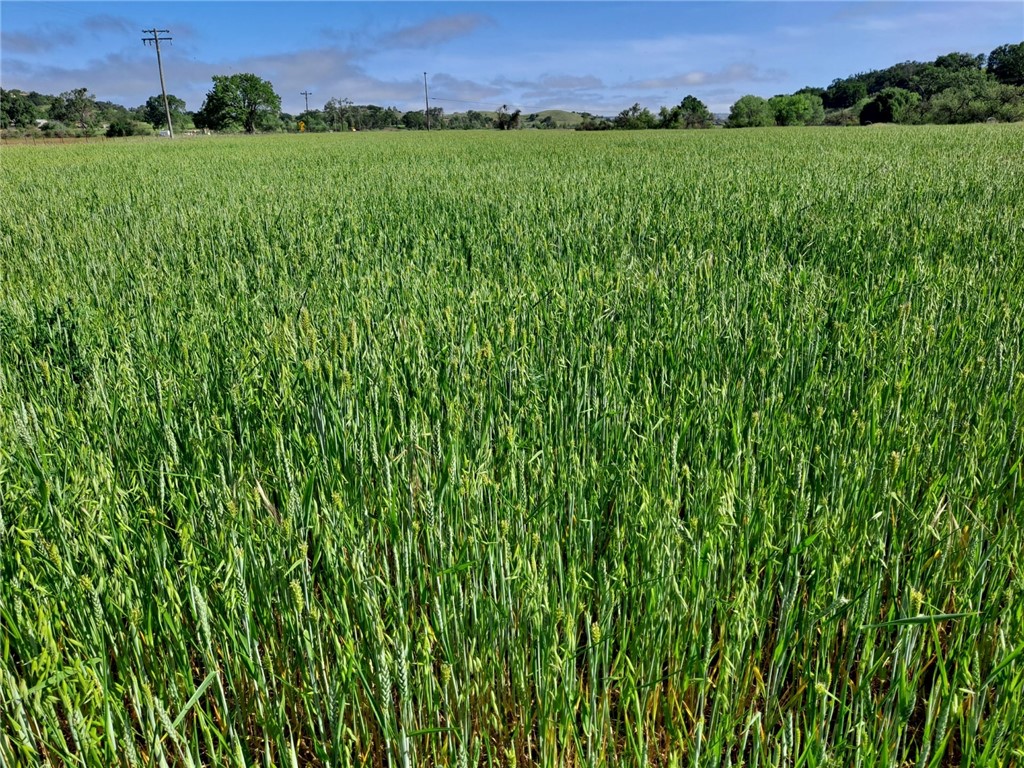 6675 Ca-229 Creston, CA 93432 - Photo 3 of 4 a view of a lush green outdoor space with a lake view