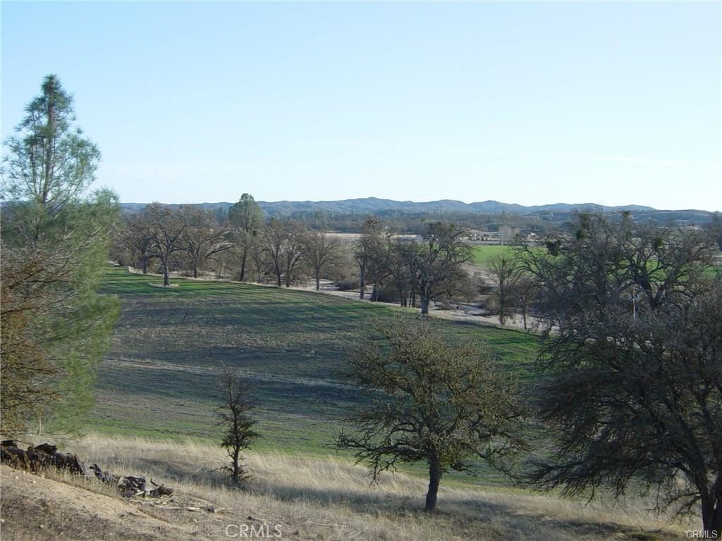 6675 Ca-229 Creston, CA 93432 - Photo 4 of 4 a view of a yard