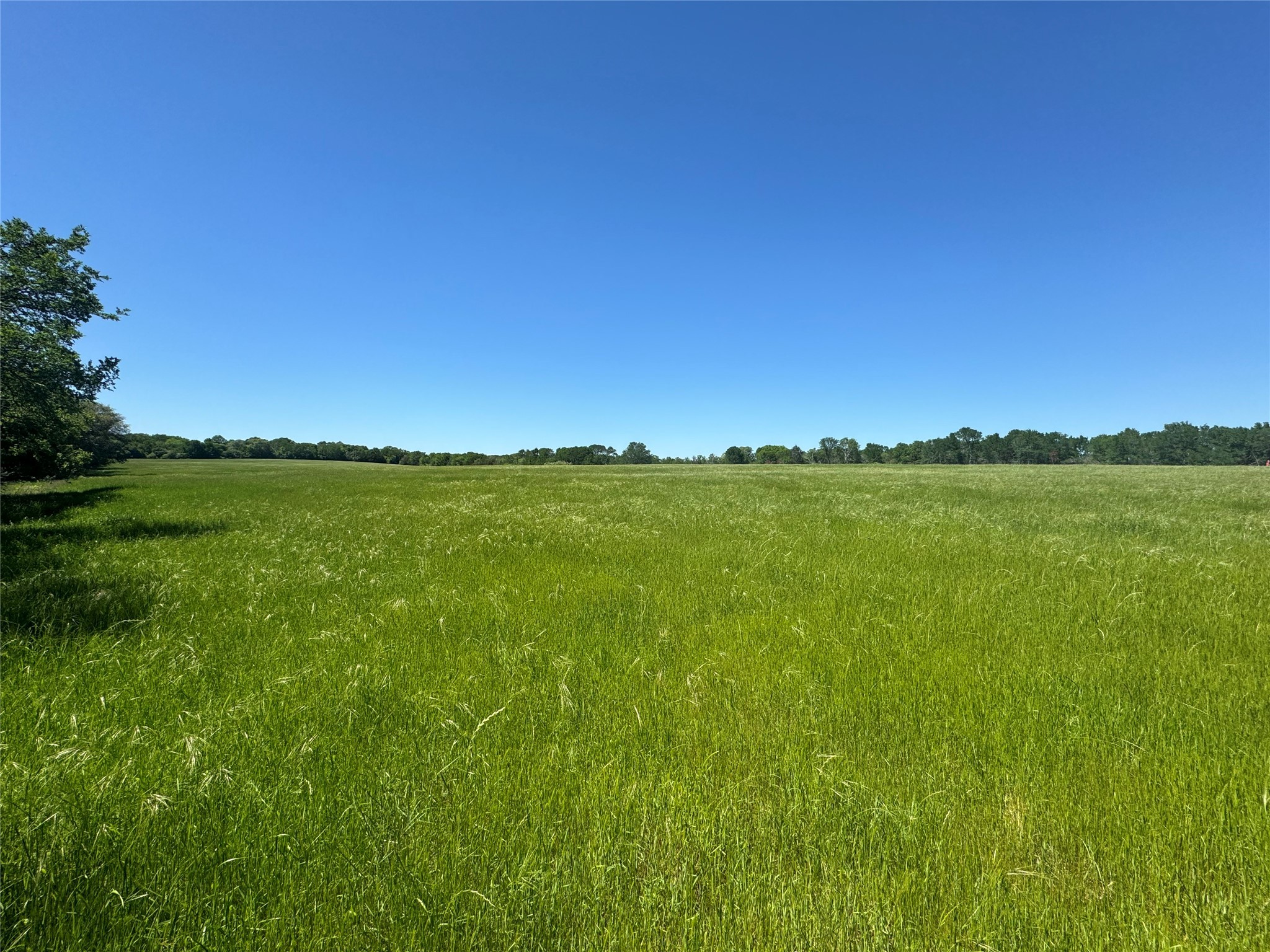 4 St Delight Road Paige, TX 78659 - Photo 7 of 12