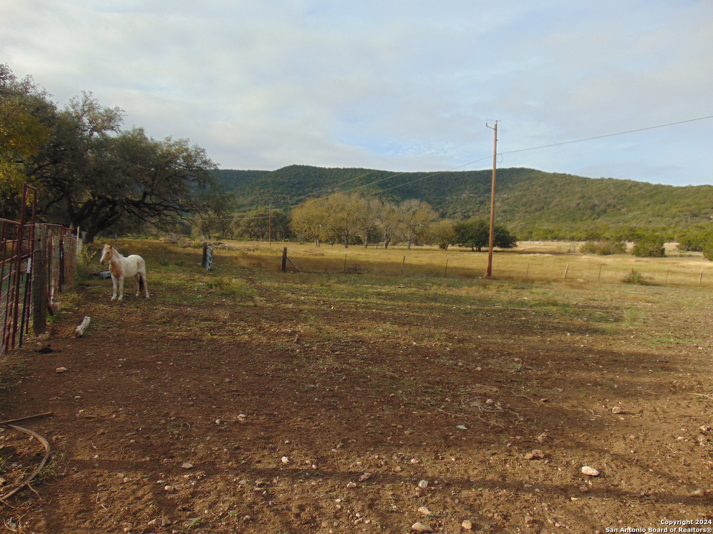 969 Walter White Ranch Road Leakey, TX 78873 - Photo 11 of 29