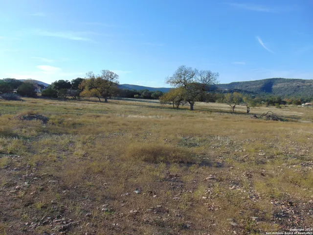 a view of dirt field with trees