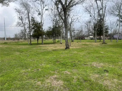 a view of a garden with trees