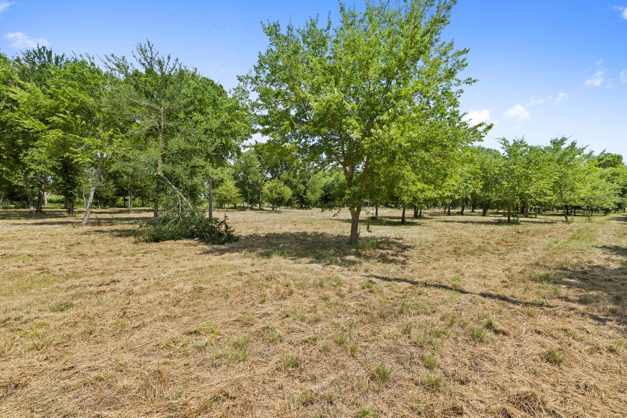 0 County Road 483 Lavon, TX 75166 - Photo 10 of 11 a backyard of a house with lots of green space