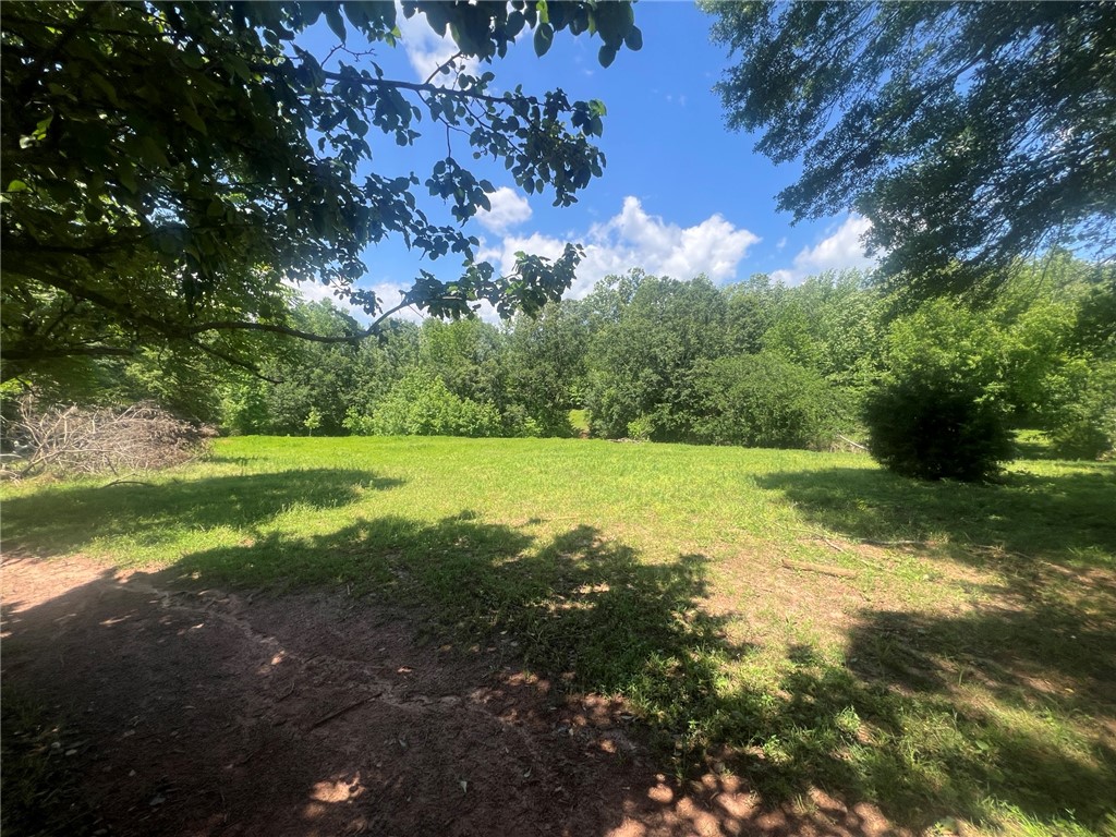 0 Broadway School Road Belton, SC 29627 - Photo 11 of 21